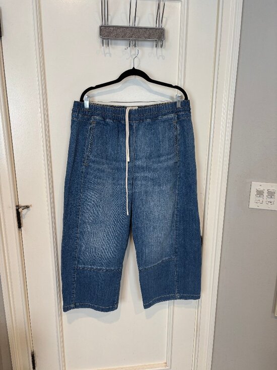 Pilcro Denim - Pilcro "The Izzie" Relaxed Pull-on Barrel Jeans (XLP)